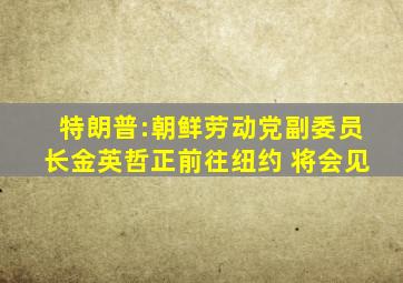 特朗普:朝鲜劳动党副委员长金英哲正前往纽约 将会见